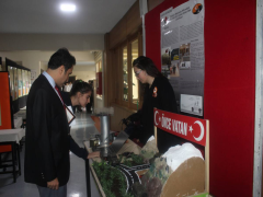 Evrensel Kolej